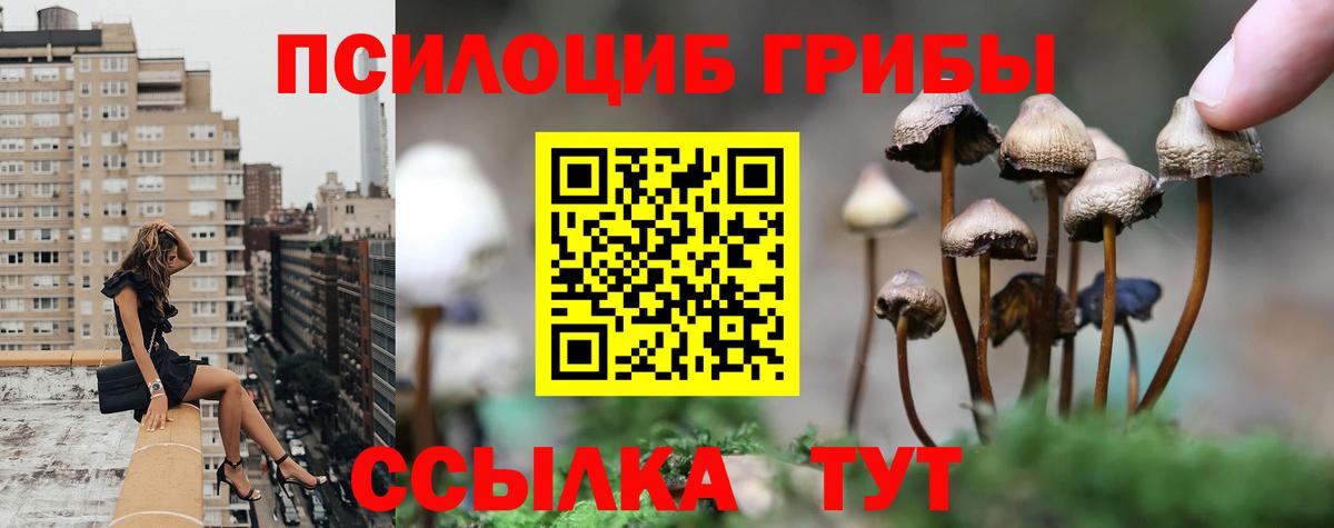 Скопин  Галлюциногенные грибы MAGIC MUSHROOMS  Вход с VPN 